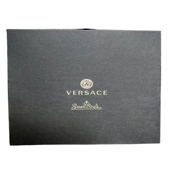 Gianni Versace medusa head red plate